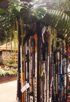 Bannister Hockey sticks eh Canada Blooms